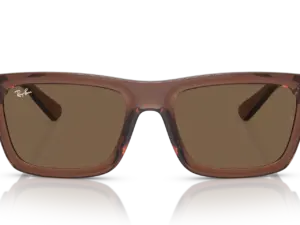 RAY-BAN WARREN RB4396 667873