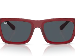 RAY-BAN WARREN RB4396 667987