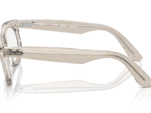 RAY-BAN WAYFARER OVAL RB2242 1383GG