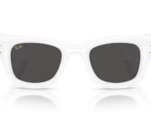 RAY-BAN WAYFARER PUFFER RB4940 671/87