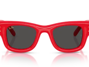 RAY-BAN WAYFARER PUFFER RB4940 683187