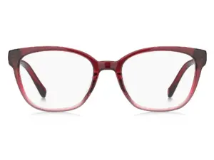 TOMMY HILFIGER TH 1840 C9A