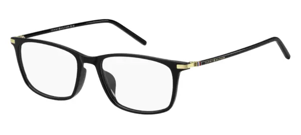 TOMMY HILFIGER TH 1937/F 807
