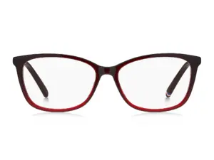 TOMMY HILFIGER TH 1965 C8C