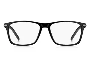 TOMMY HILFIGER TH 1995 807