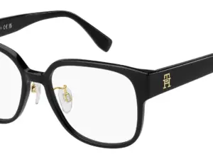 TOMMY HILFIGER TH 2117/F 807