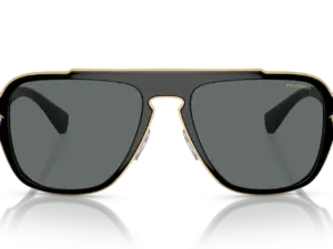 VERSACE  VE2199 100281