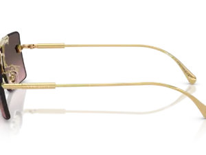 VERSACE  VE2245 100258