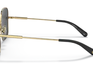 VERSACE  VE2246D 100287