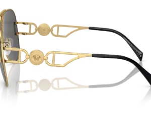 VERSACE  VE2255 100287