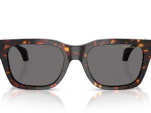 VERSACE  VE4486 550981