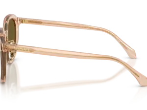 VERSACE  VE4493D 551883