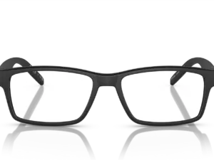 ARNETTE LEONARDO AN7179 01