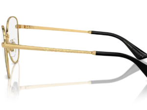 DOLCE & GABBANA DG1355 1334