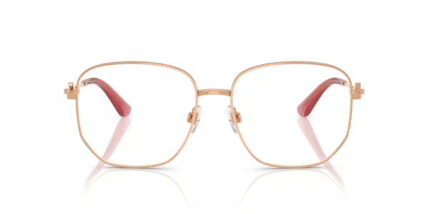 DOLCE & GABBANA DG1356 1298