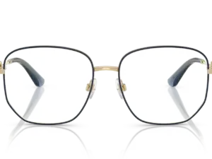 DOLCE & GABBANA DG1356 488