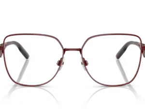 DOLCE & GABBANA DG1358 1319