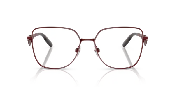 DOLCE & GABBANA DG1358 1319