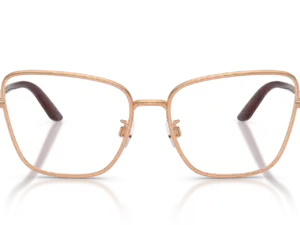 DOLCE & GABBANA DG1359 1298