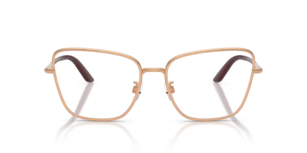DOLCE & GABBANA DG1359 1298