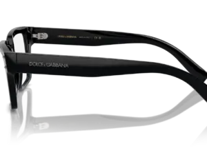DOLCE & GABBANA DG3383 501
