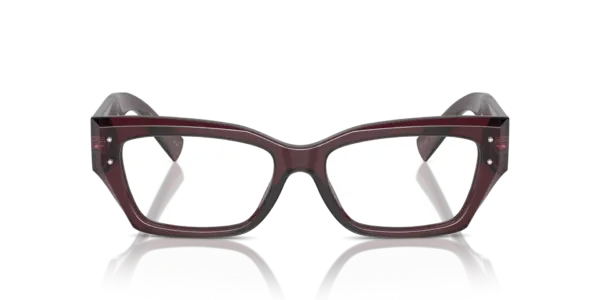DOLCE & GABBANA  DG3387 3045