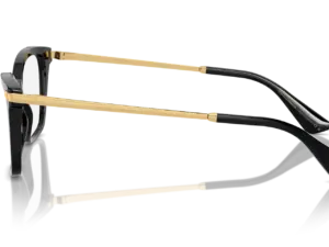 DOLCE & GABBANA DG3393 501