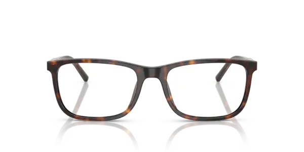 DOLCE & GABBANA  DG3427 502