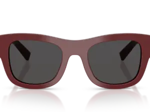 DOLCE & GABBANA  DG4509 309187
