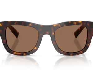 DOLCE & GABBANA  DG4509 502/73