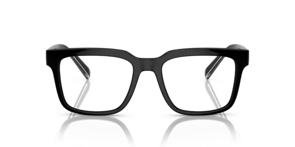 DOLCE & GABBANA  DG5101 501