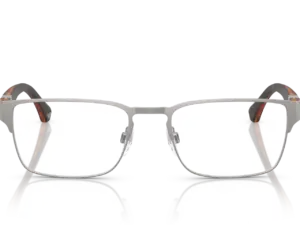 EMPORIO ARMANI  EA1027 3003
