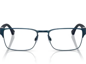 EMPORIO ARMANI  EA1027 3100