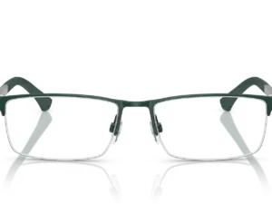 EMPORIO ARMANI  EA1041 3017