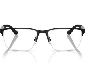 EMPORIO ARMANI  EA1164 3001