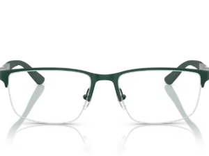 EMPORIO ARMANI  EA1164 3017