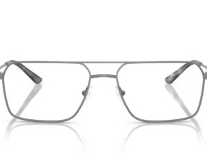 EMPORIO ARMANI  EA1166 3003