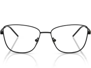 EMPORIO ARMANI  EA1172 3001