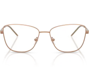 EMPORIO ARMANI  EA1172 3400