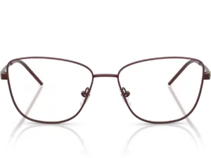 EMPORIO ARMANI  EA1172 3401