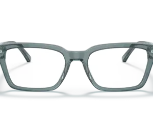 EMPORIO ARMANI  EA3192 5911