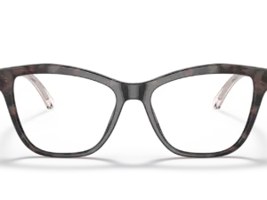 EMPORIO ARMANI  EA3193 5410