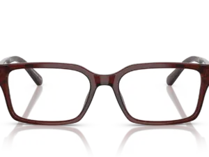 EMPORIO ARMANI  EA3244 6174