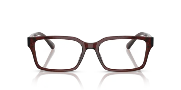 EMPORIO ARMANI  EA3244 6174