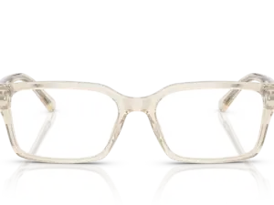 EMPORIO ARMANI  EA3244 6179