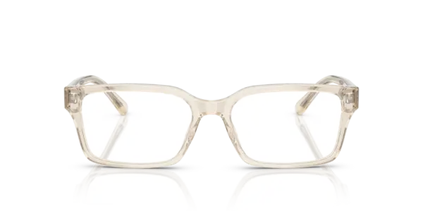 EMPORIO ARMANI  EA3244 6179