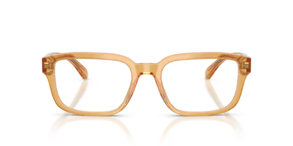 EMPORIO ARMANI  EA3255 6246