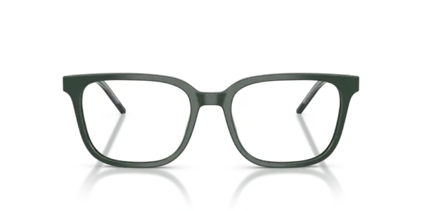 EMPORIO ARMANI  EA3258 6257