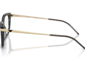 EMPORIO ARMANI  EA3262 6262