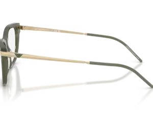 EMPORIO ARMANI  EA3262 6264